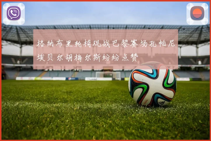 格纳布里轮椅观战巴黎赛场孔帕尼埃贝尔胡梅尔斯纷纷点赞