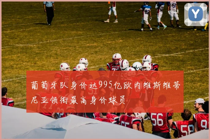 葡萄牙队身价达995亿欧内维斯维蒂尼亚领衔最高身价球员